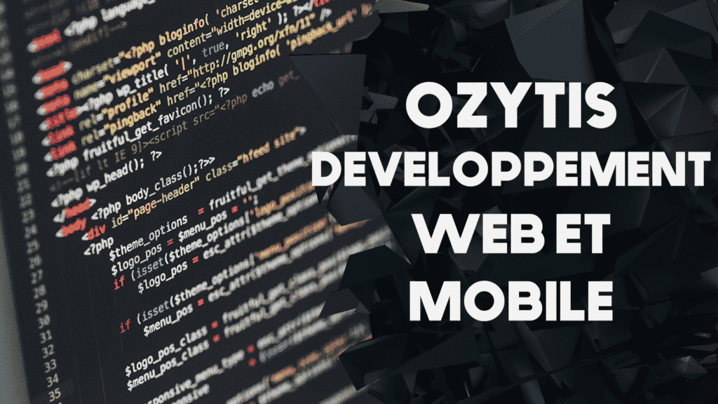 Création d'un site internet pour l'entreprise Ozytis 1