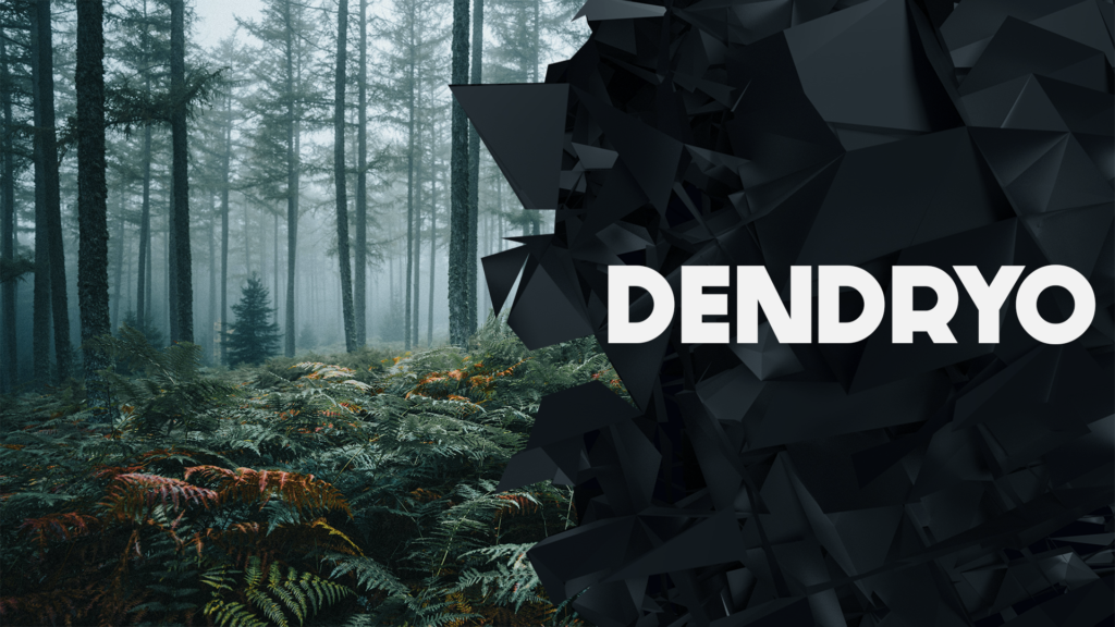Création d'un site vitrine pour l'entreprise Dendryo 1