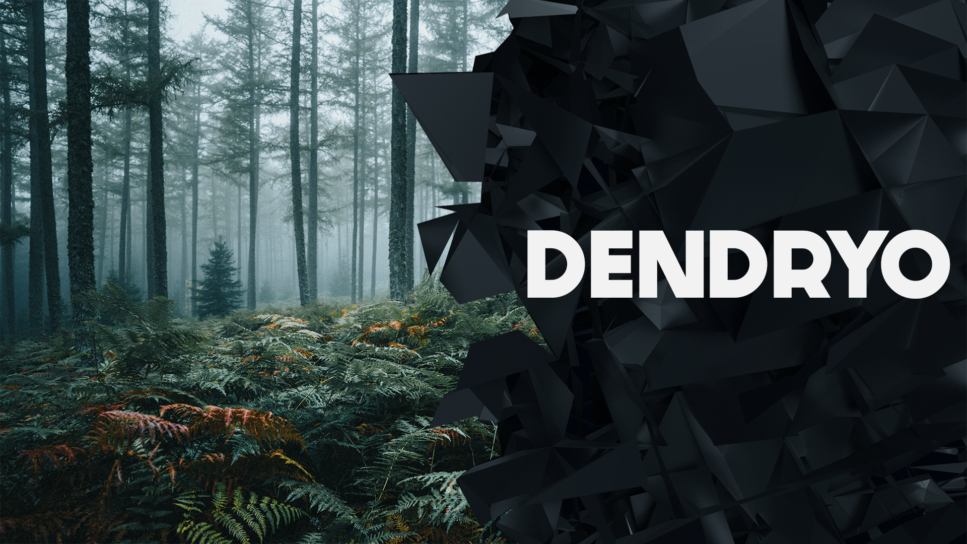 Création d’un site vitrine pour l’entreprise Dendryo