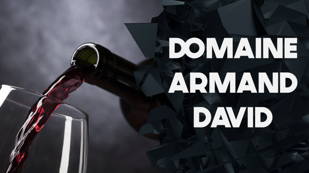 Intégration du e-commerce sur le site web de l'entreprise Domaine Armand David 1